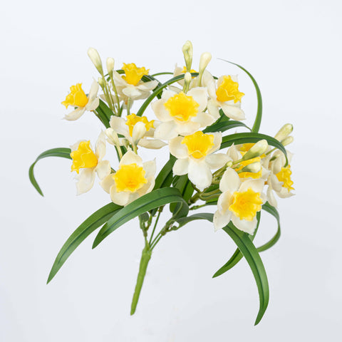 11.5" DAFFODIL BUSH