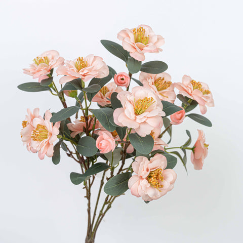 18" CAMELLIA BUSH