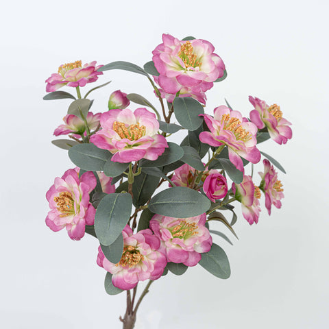 18" CAMELLIA BUSH