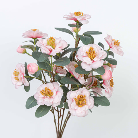 18" CAMELLIA BUSH