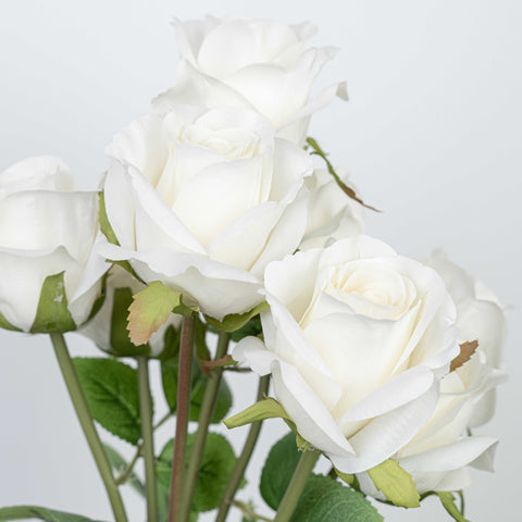 19" ROSE BUNDLE X 8