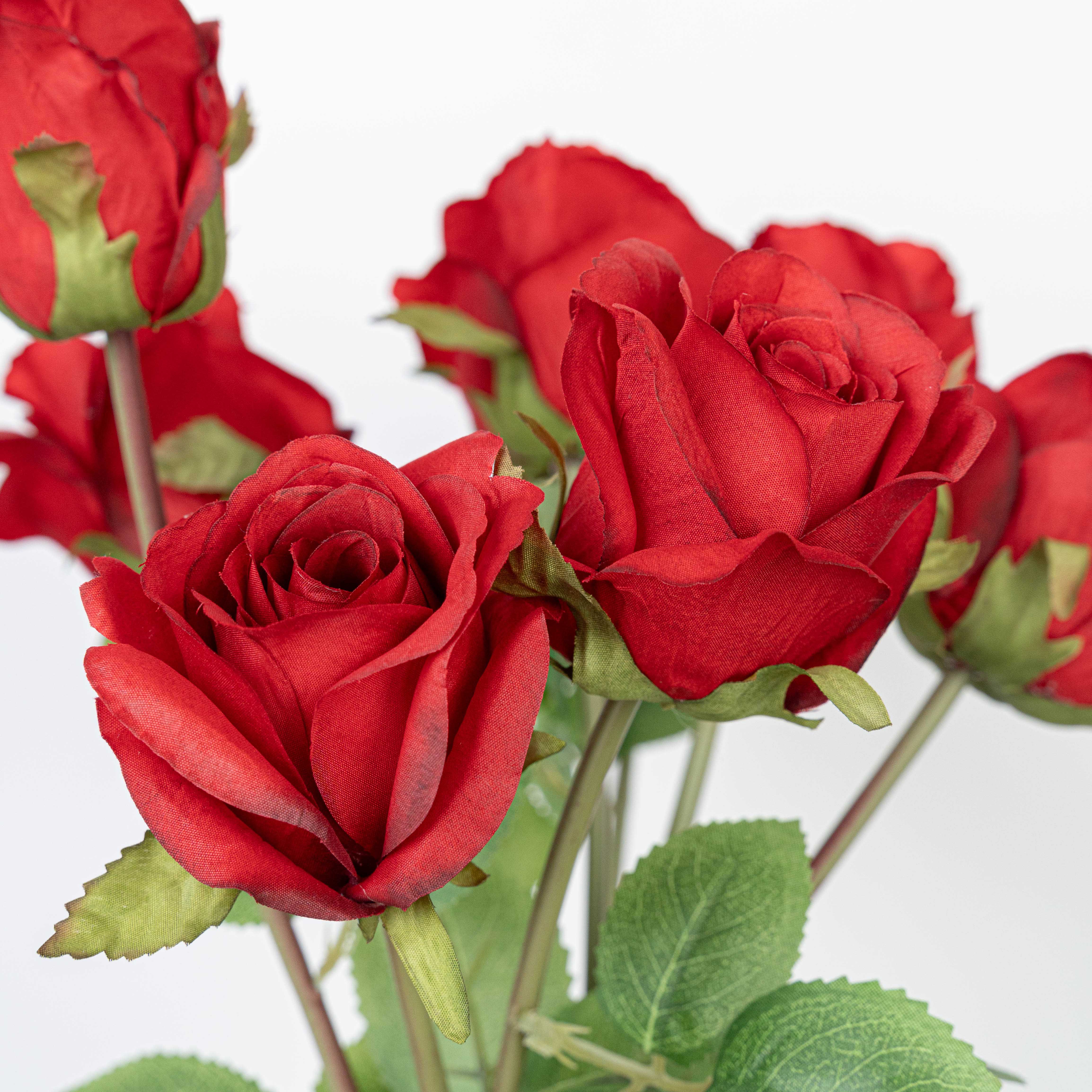 19" ROSE BUNDLE X 8