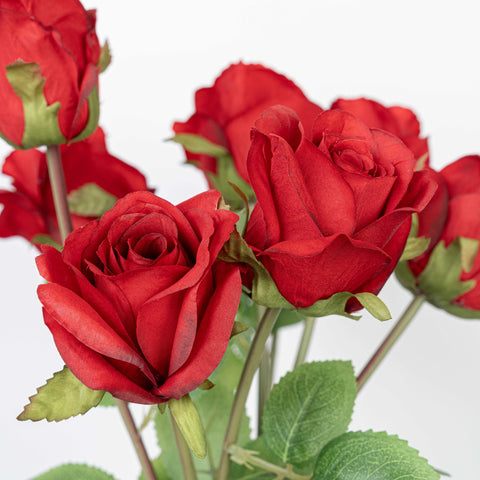 19" ROSE BUNDLE X 8