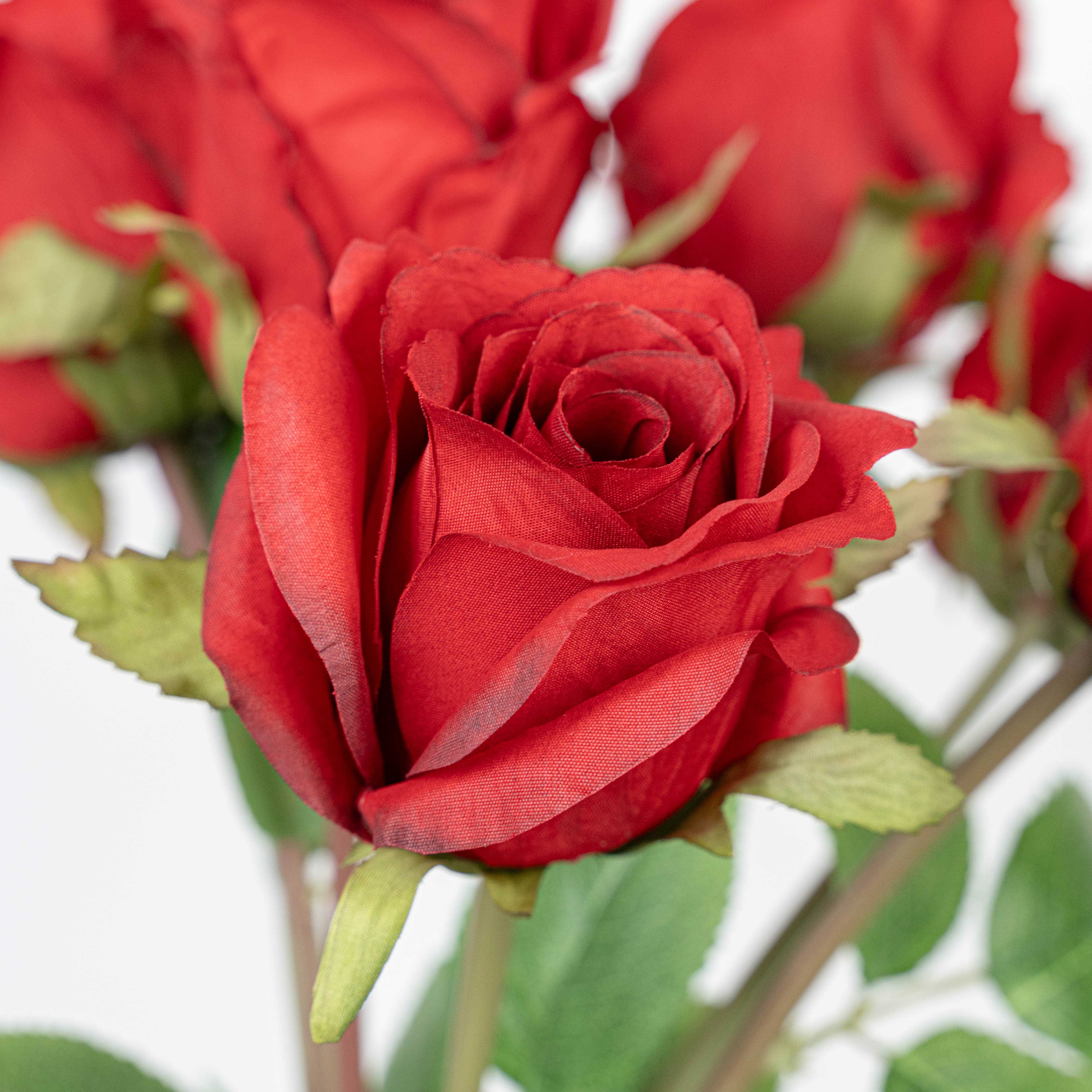 19" ROSE BUNDLE X 8