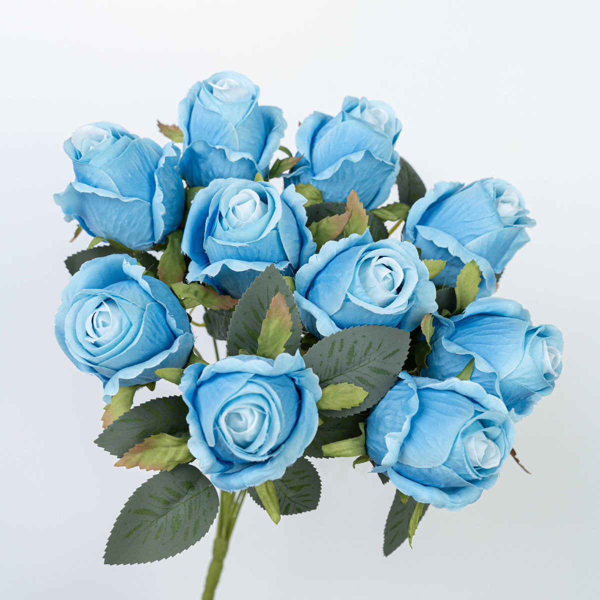 16" ROSE BUSH X 10