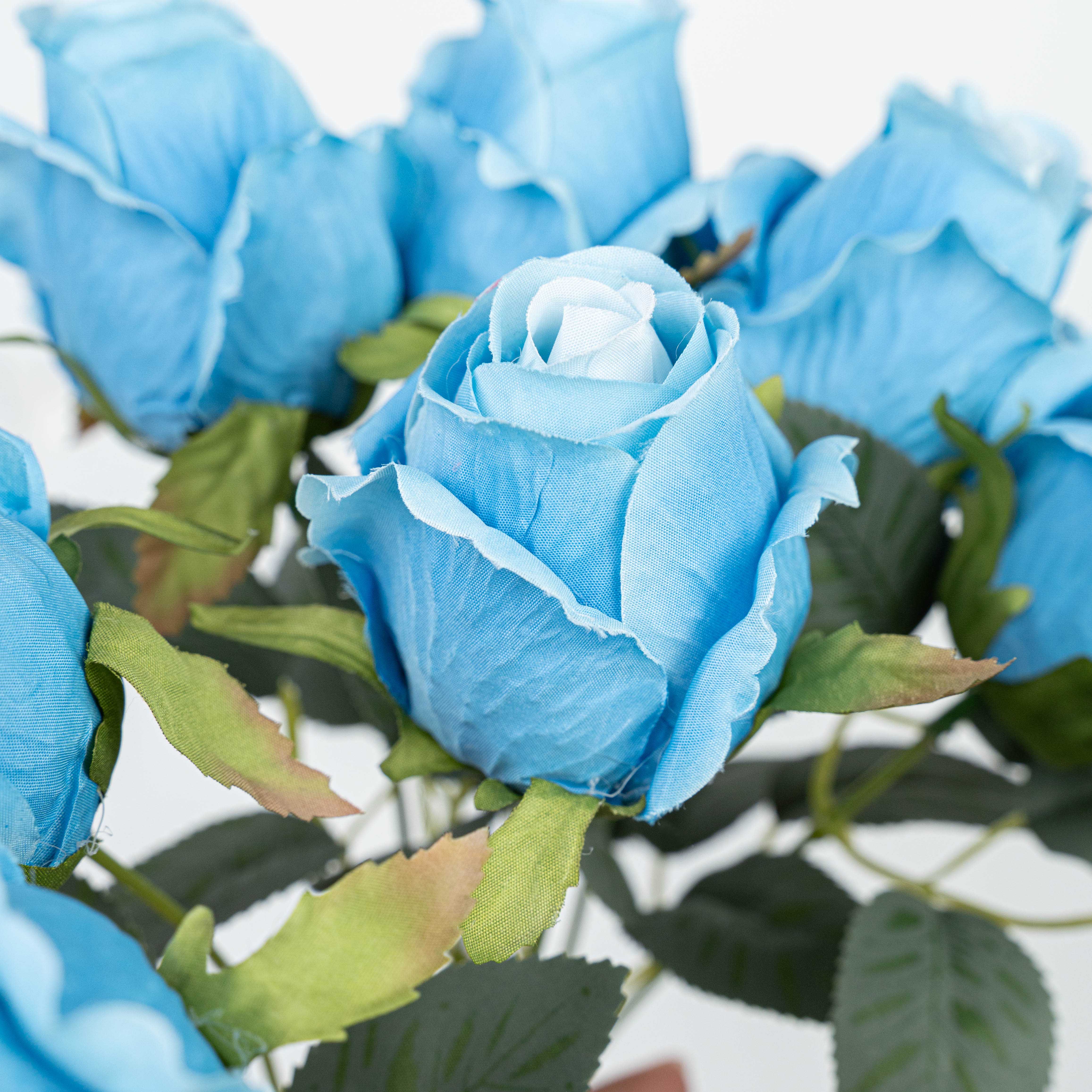 16" ROSE BUSH X 10