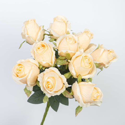 16" ROSE BUSH X 10