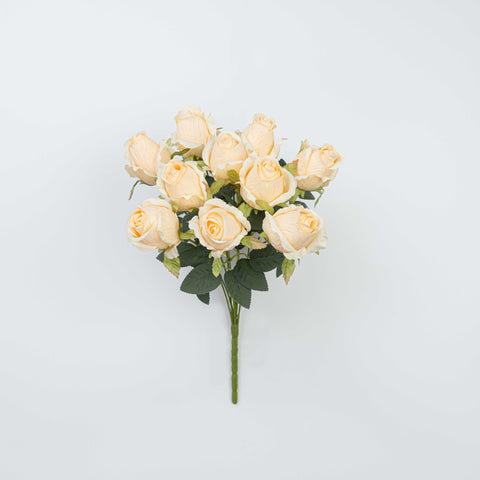 16" ROSE BUSH X 10