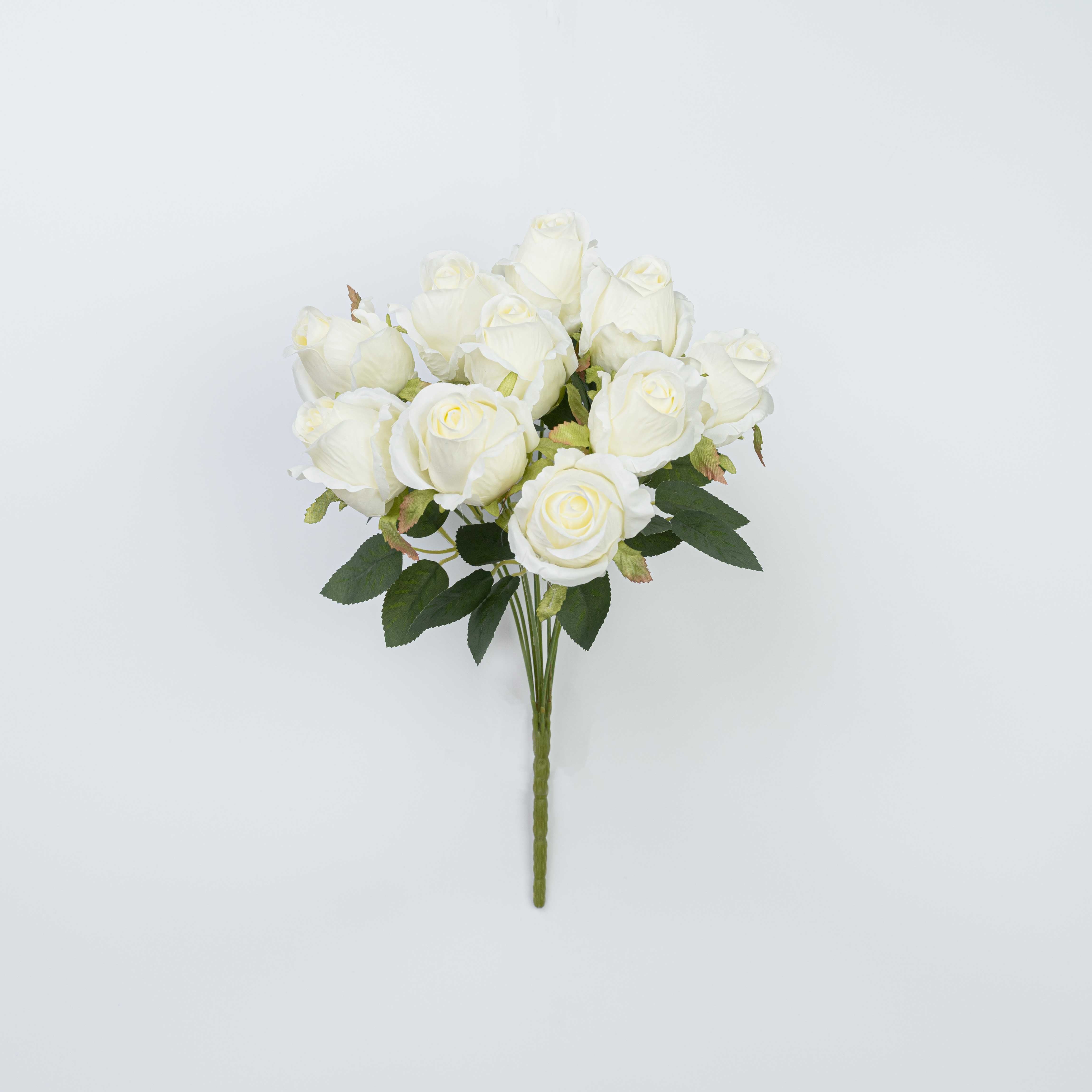 16" ROSE BUSH X 10