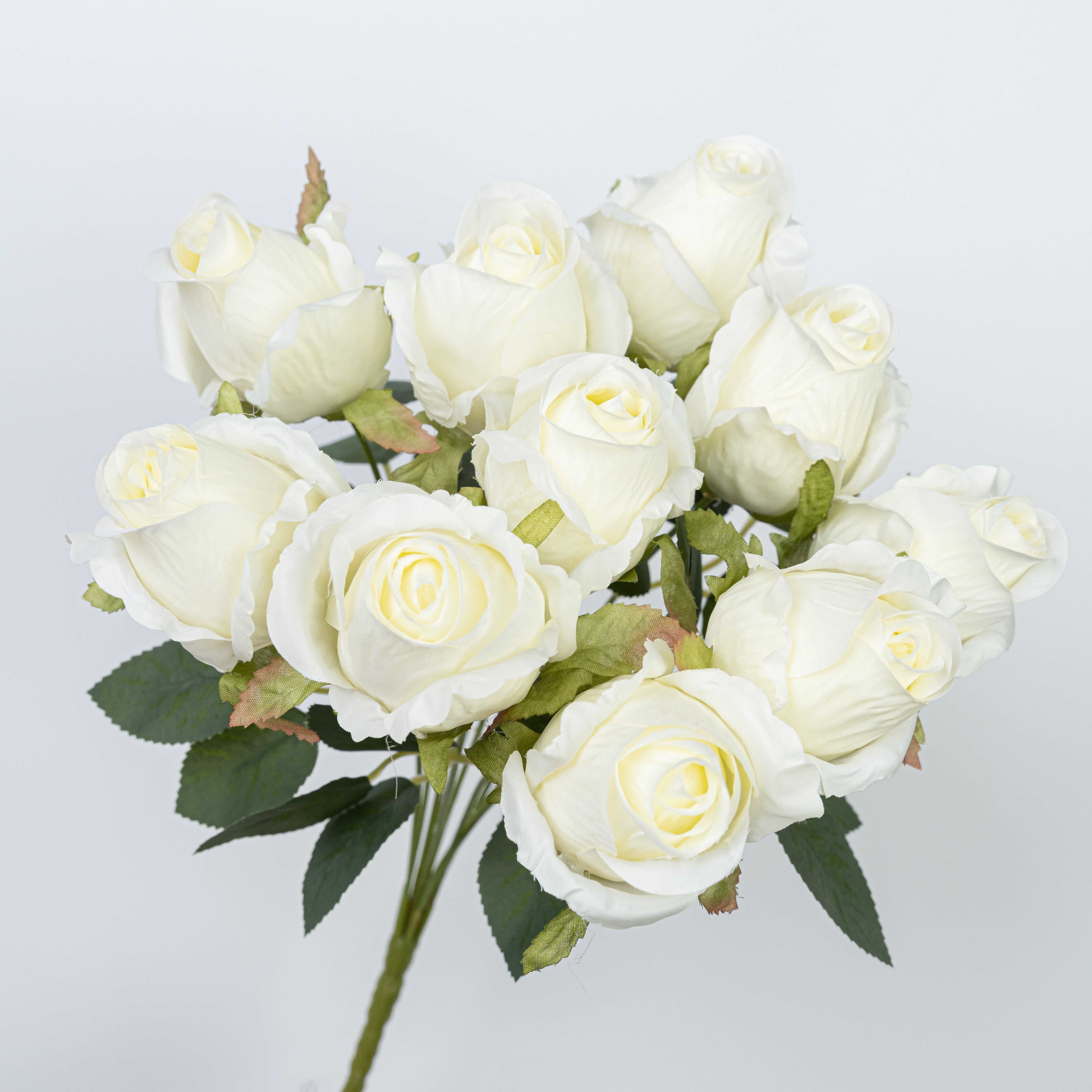 16" ROSE BUSH X 10