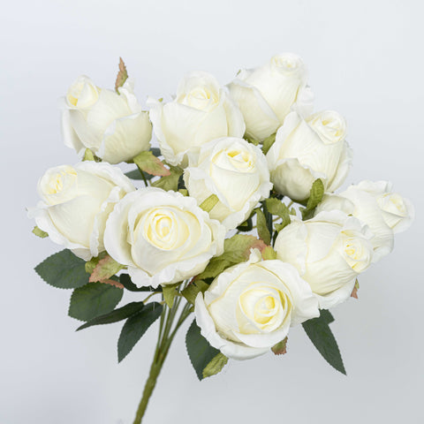 16" ROSE BUSH X 10