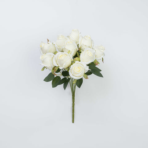 16" ROSE BUSH X 10