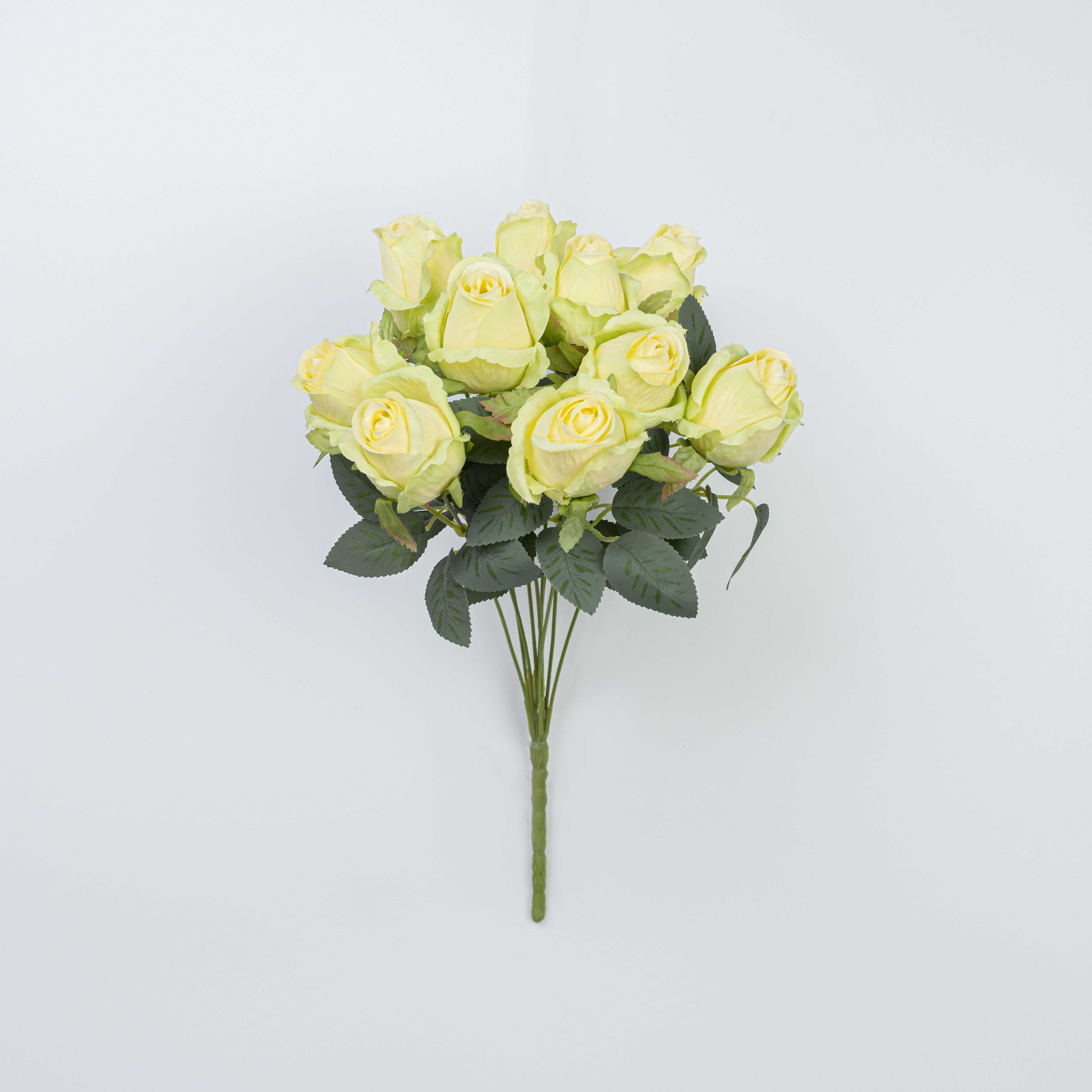 16" ROSE BUSH X 10