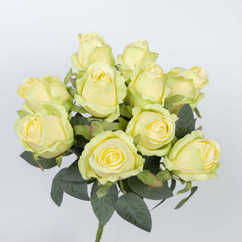 16" ROSE BUSH X 10