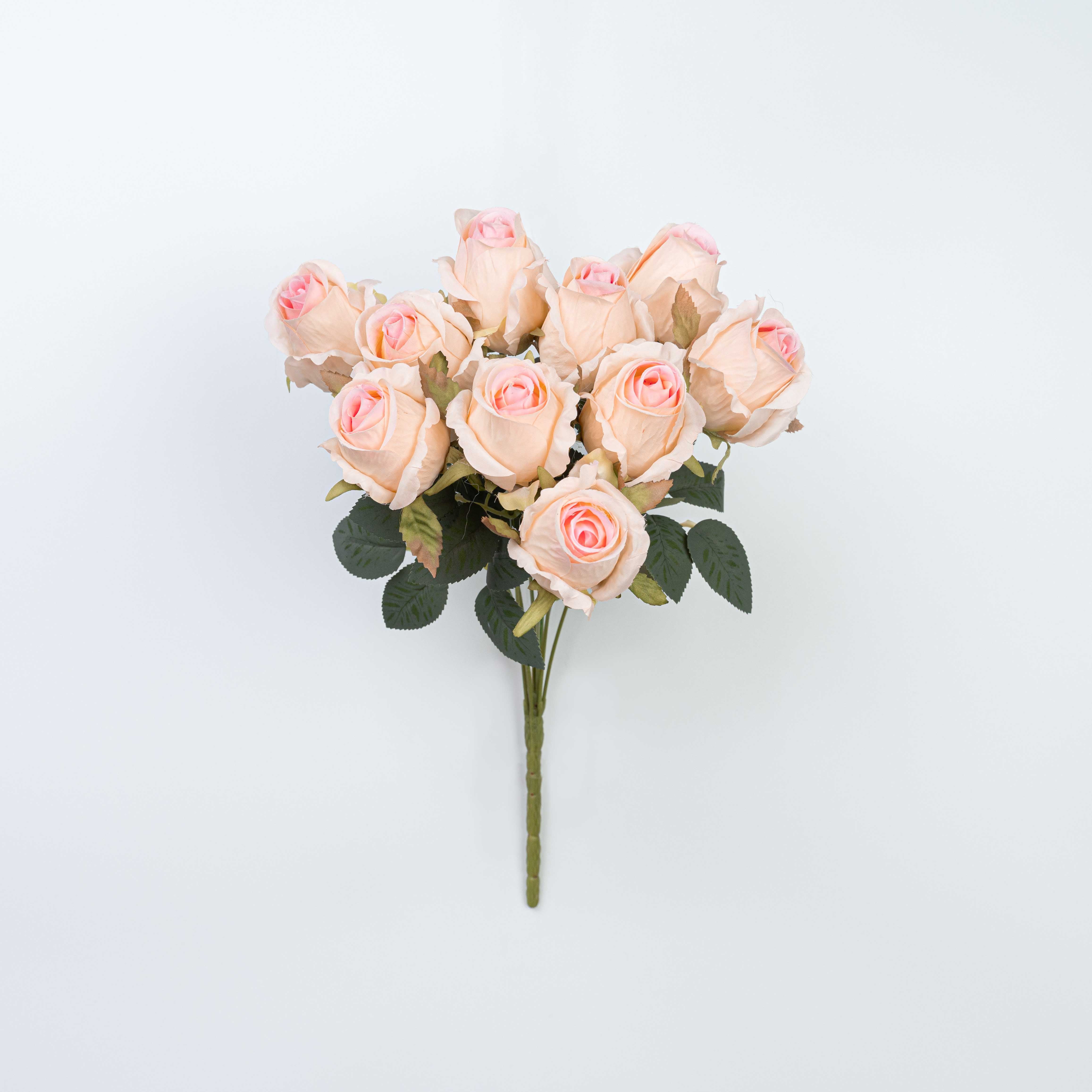 16" ROSE BUSH X 10