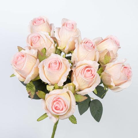 16" ROSE BUSH X 10