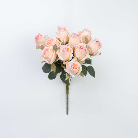 16" ROSE BUSH X 10