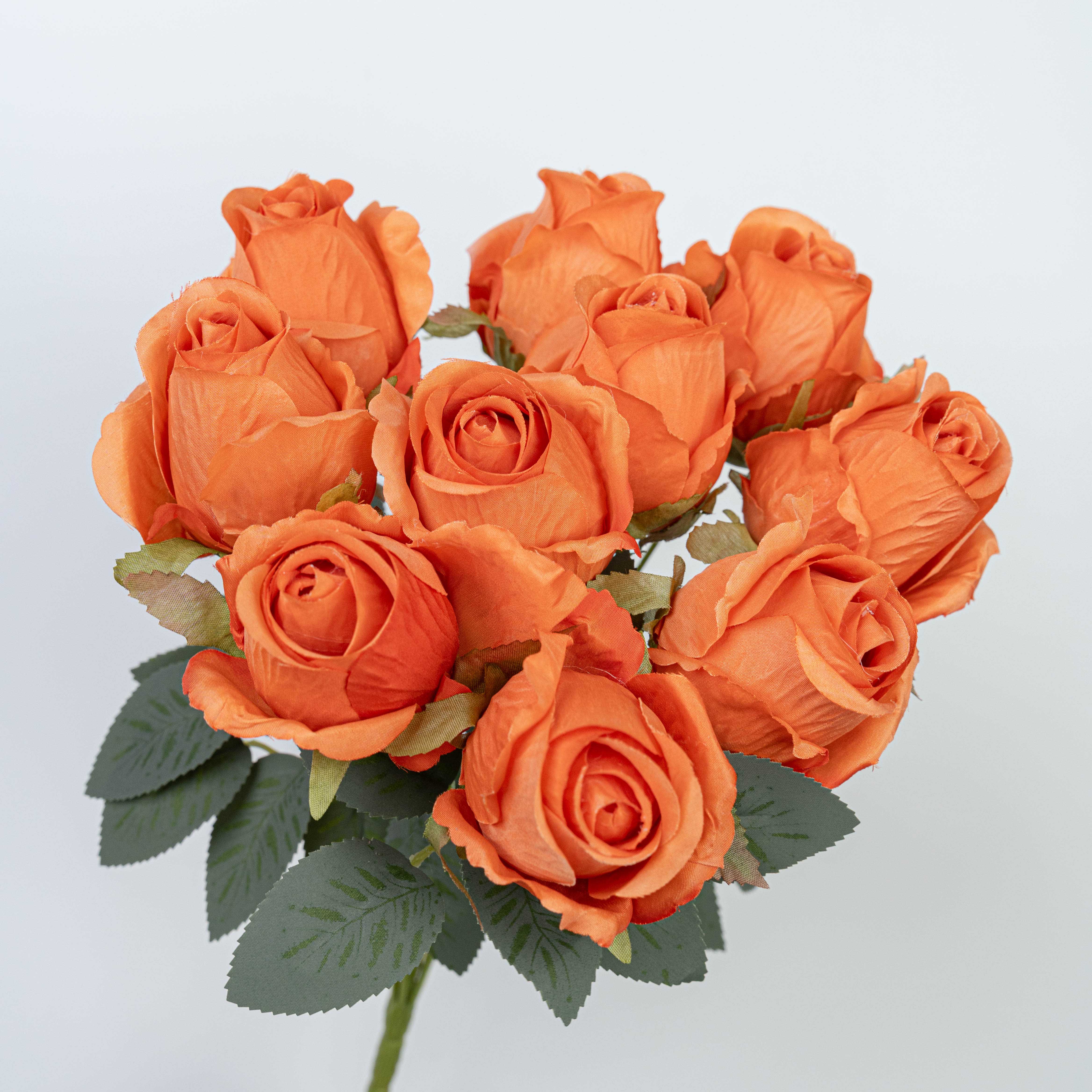 16" ROSE BUSH X 10