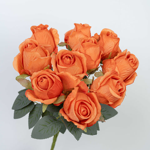 16" ROSE BUSH X 10