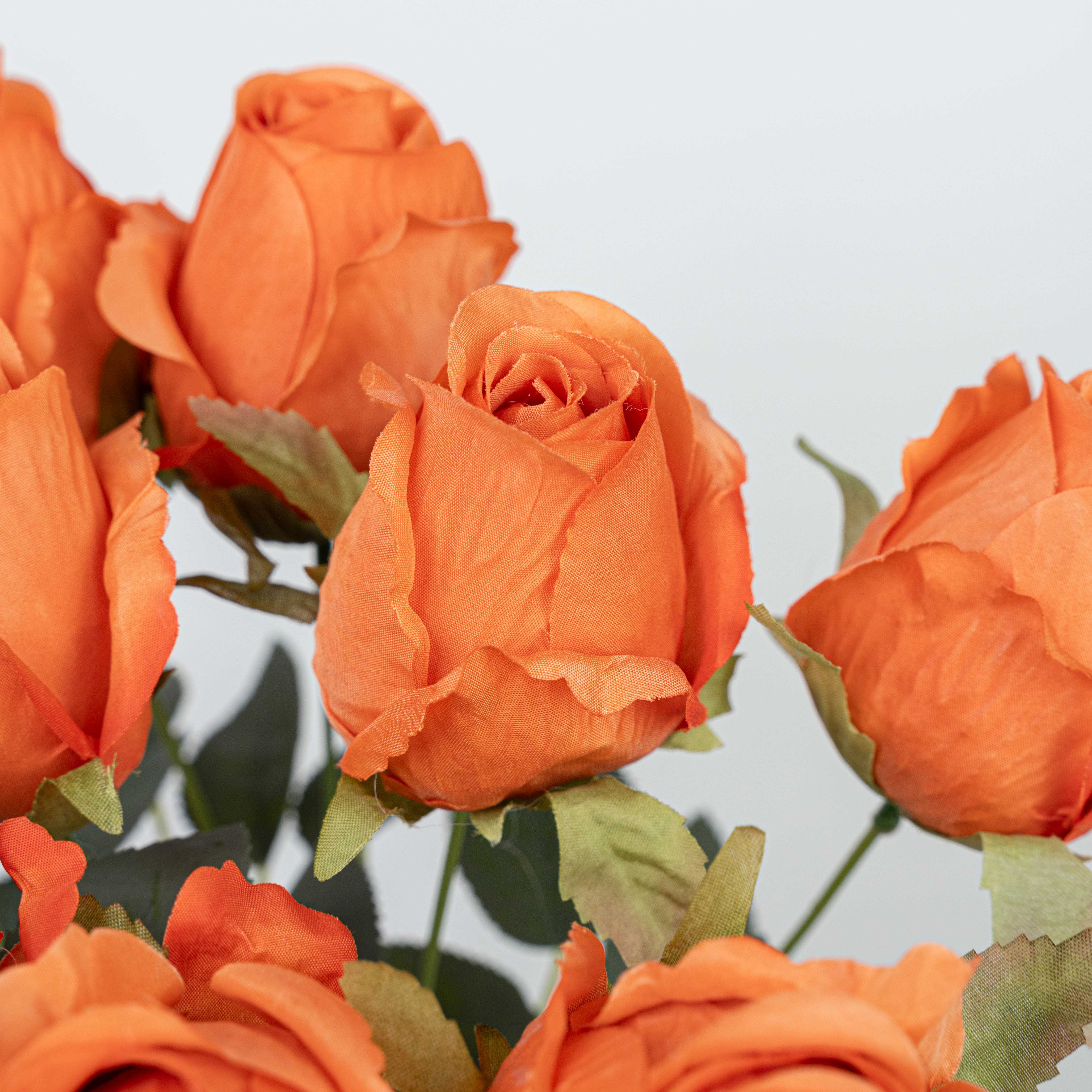 16" ROSE BUSH X 10
