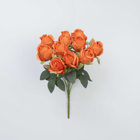 16" ROSE BUSH X 10