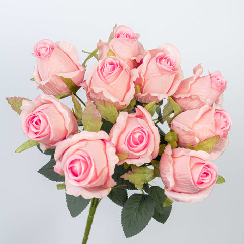 16" ROSE BUSH X 10