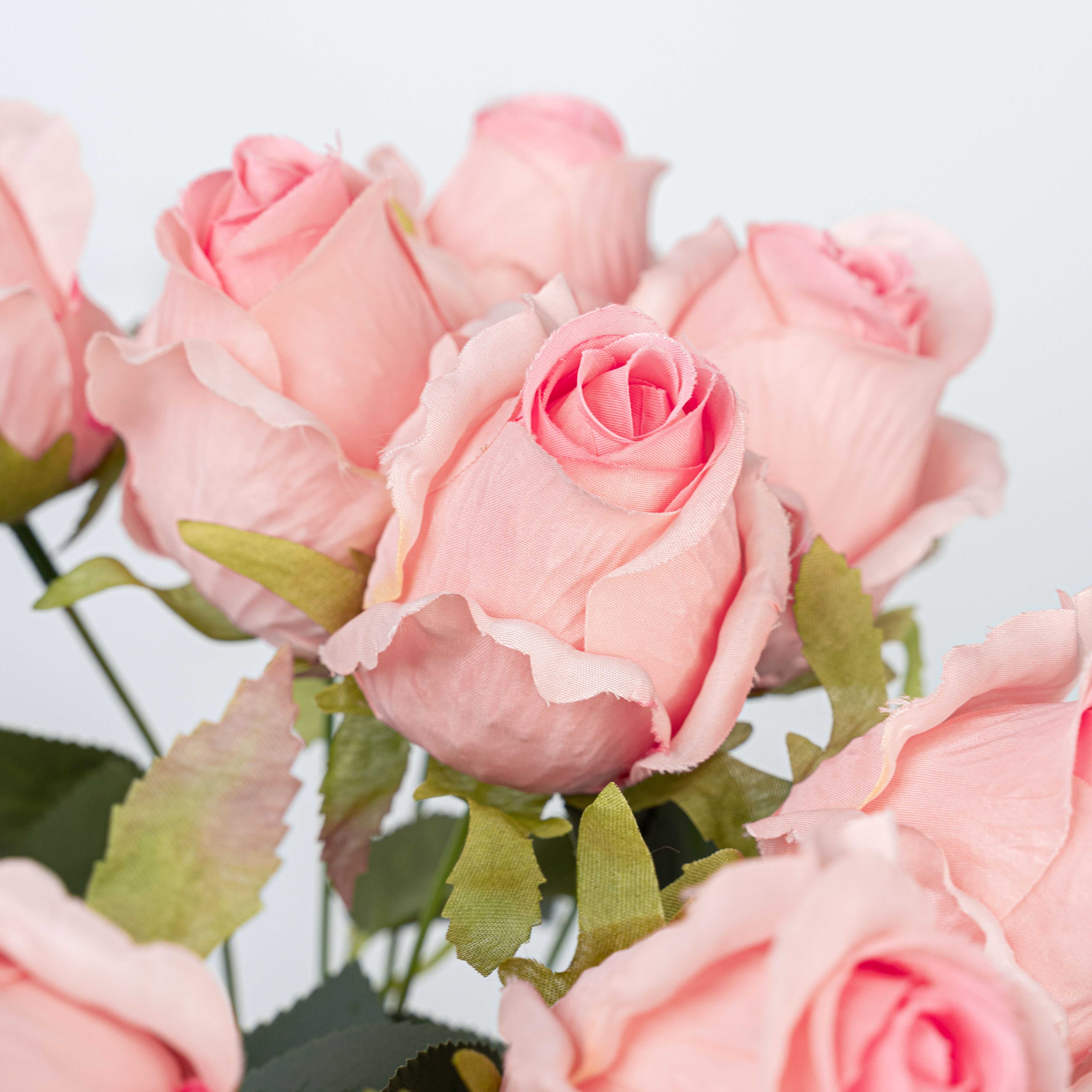 16" ROSE BUSH X 10