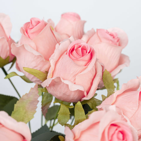 16" ROSE BUSH X 10