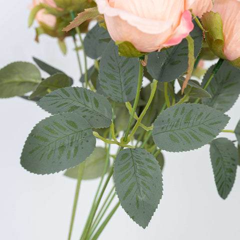 16" ROSE BUSH X 10