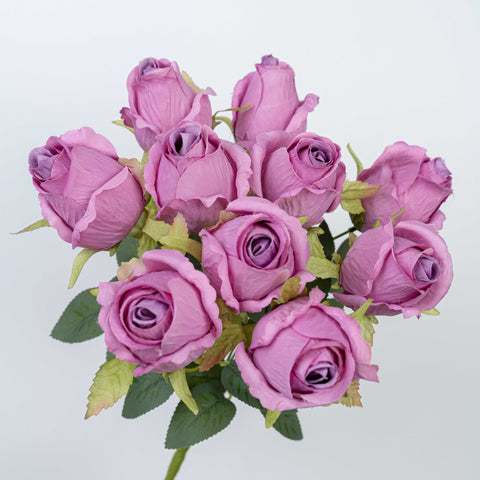 16" ROSE BUSH X 10