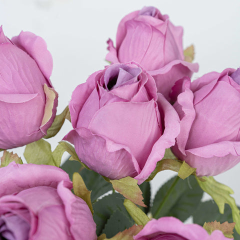 16" ROSE BUSH X 10