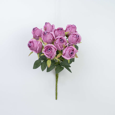16" ROSE BUSH X 10
