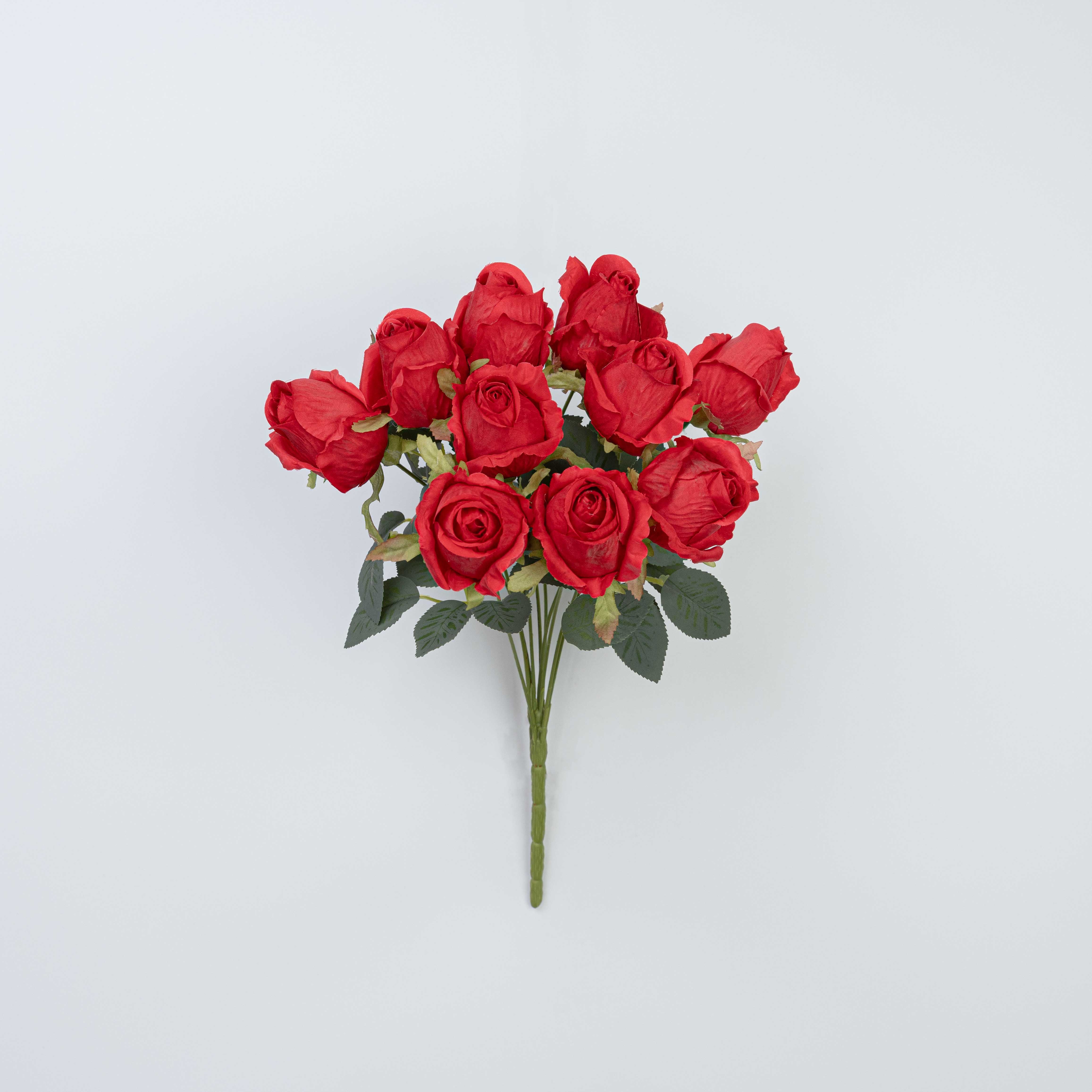 16" ROSE BUSH X 10