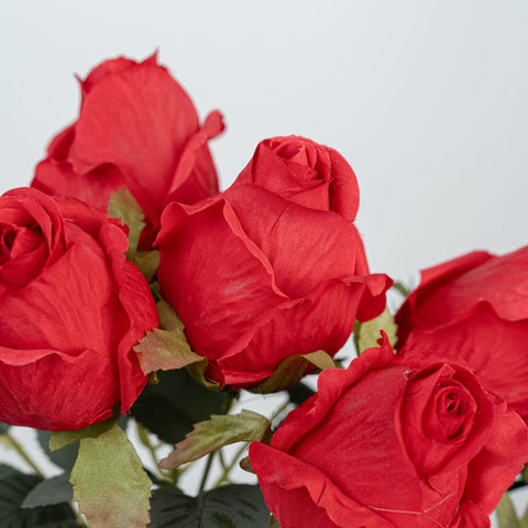 16" ROSE BUSH X 10