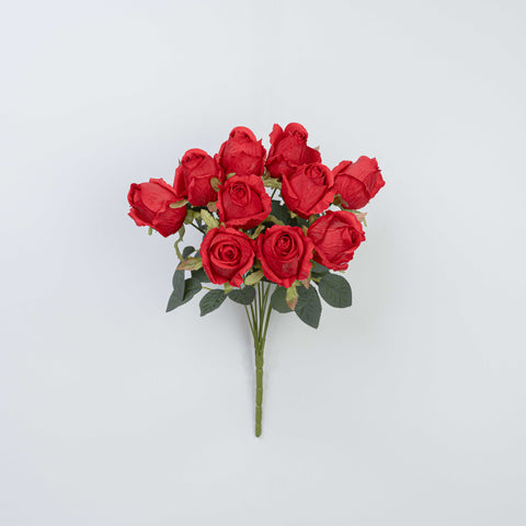 16" ROSE BUSH X 10