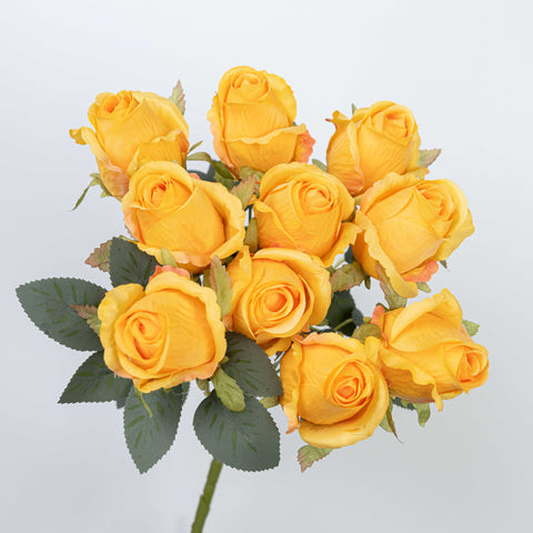 16" ROSE BUSH X 10