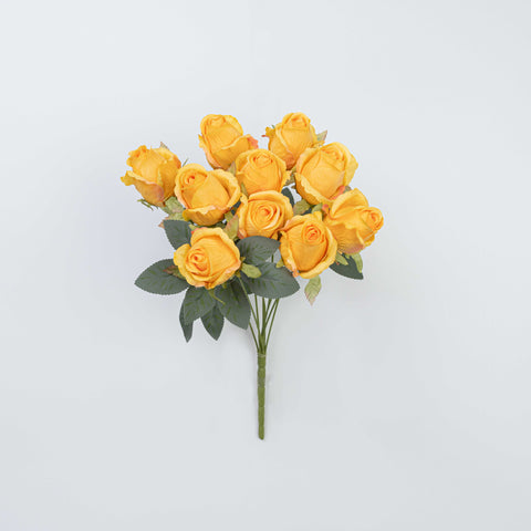 16" ROSE BUSH X 10
