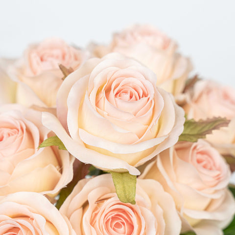13" ROSE  BUNDLE X 8