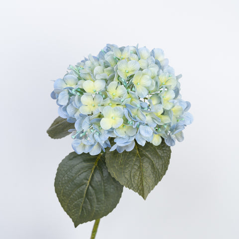 24" REAL TOUCH HYDRANGEA STEM