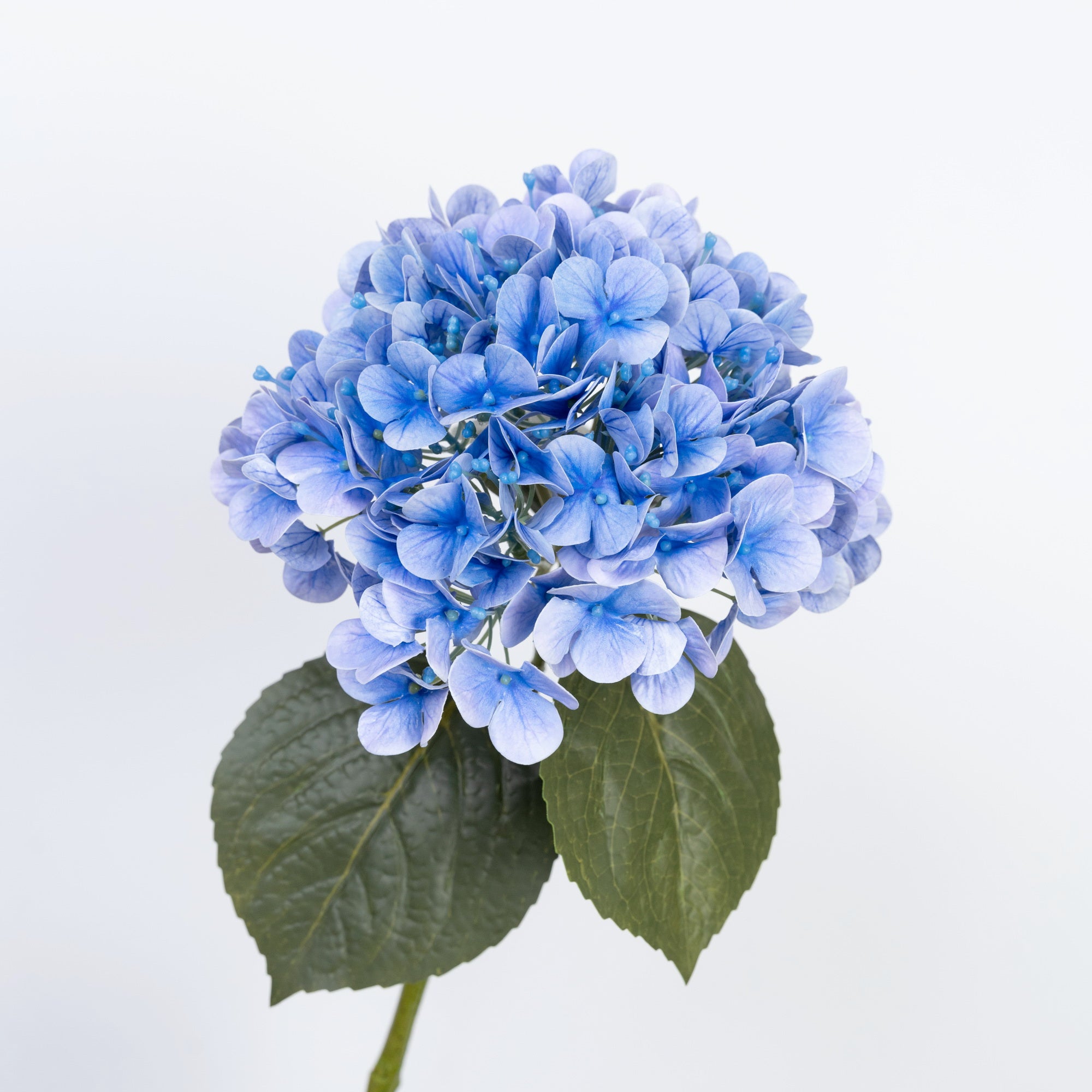 24" REAL TOUCH HYDRANGEA STEM
