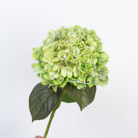 24" REAL TOUCH HYDRANGEA STEM