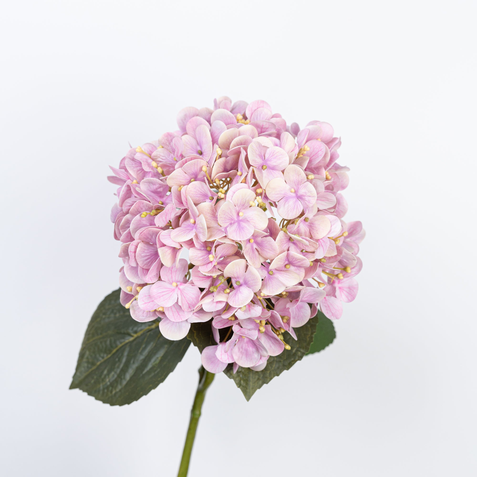 24" REAL TOUCH HYDRANGEA STEM