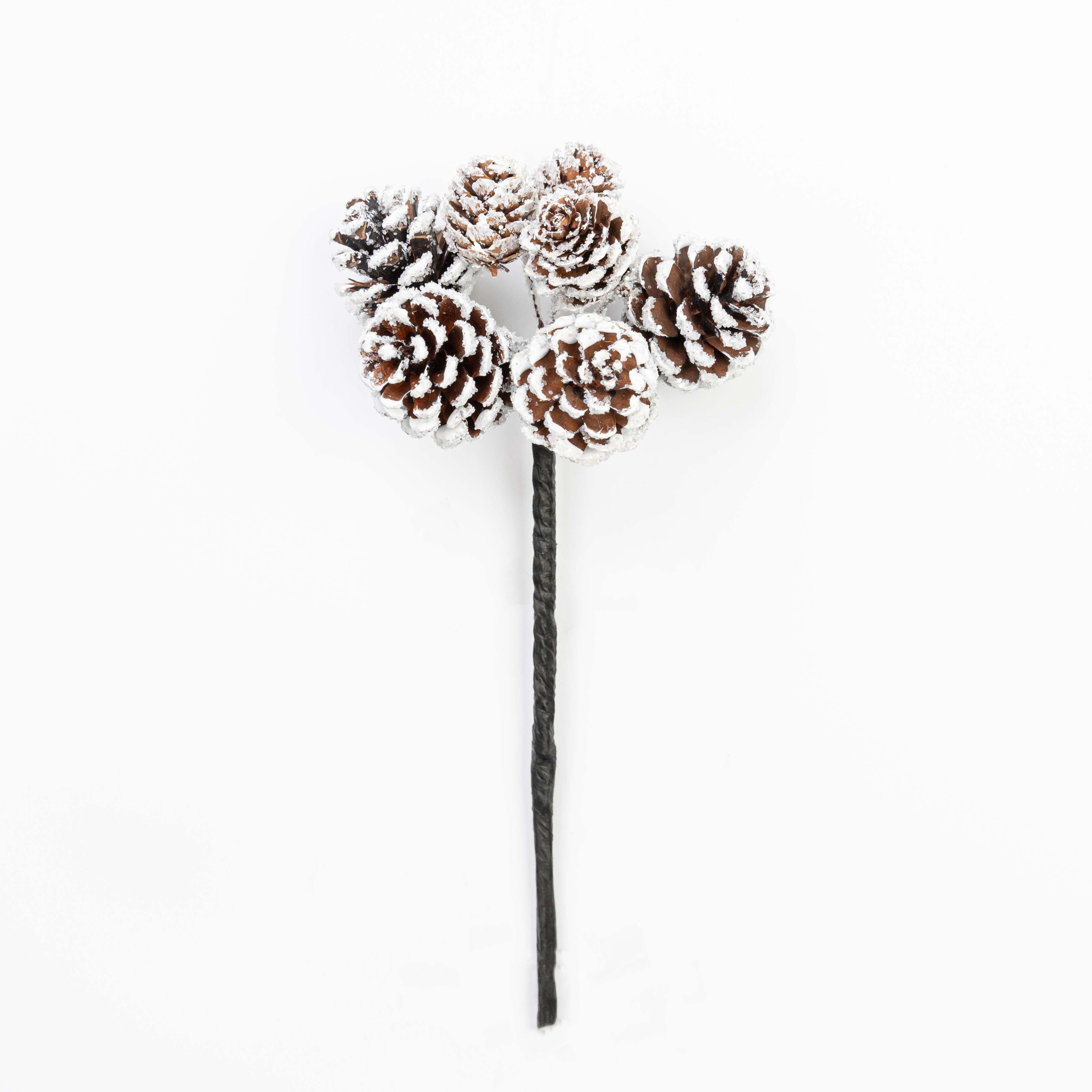 9.5" PINECONE PICK X 7