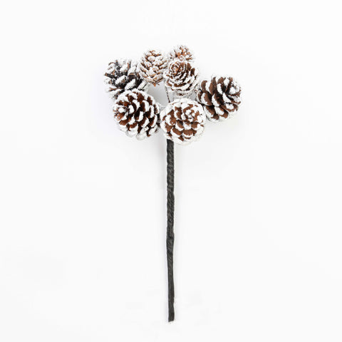 9.5" PINECONE PICK X 7