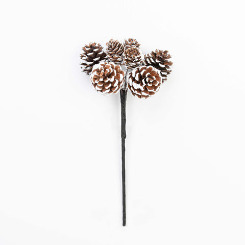9.5" PINECONE PICK X 7