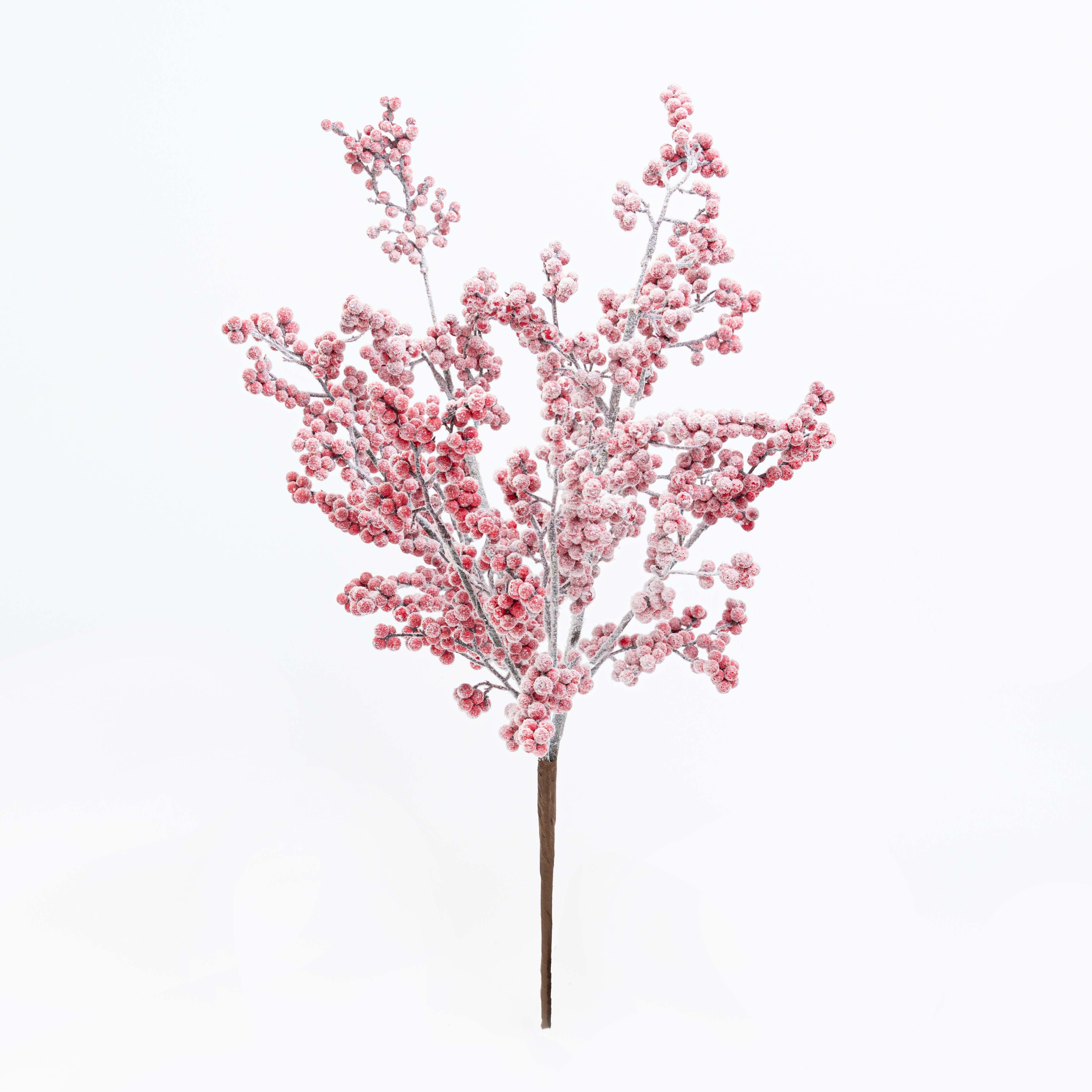 23" BERRY BUSH