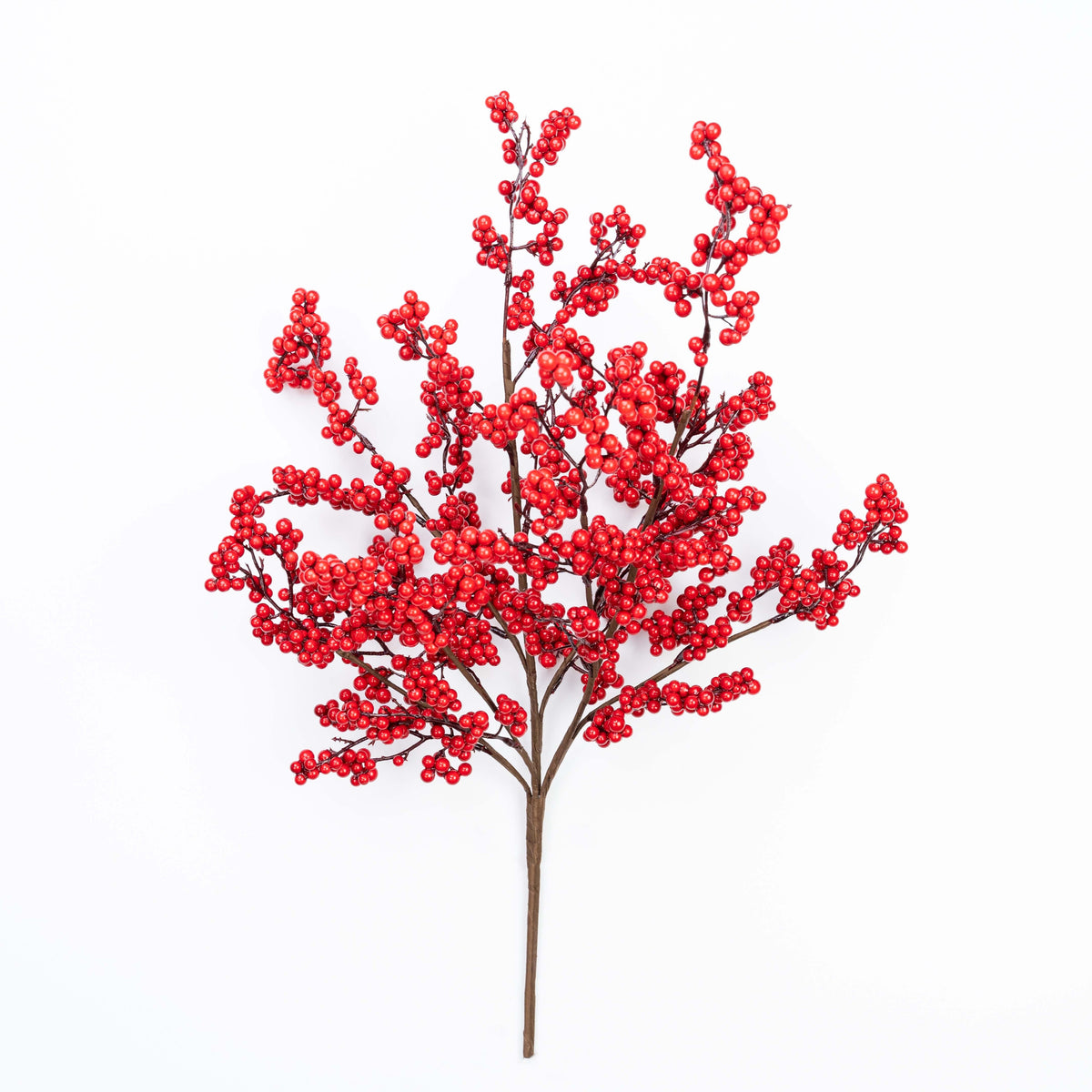 23" BERRY BUSH