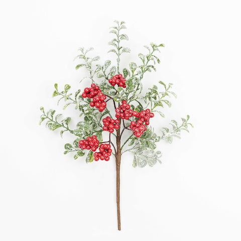 14" FROST BERRY BOXWOOD PICK