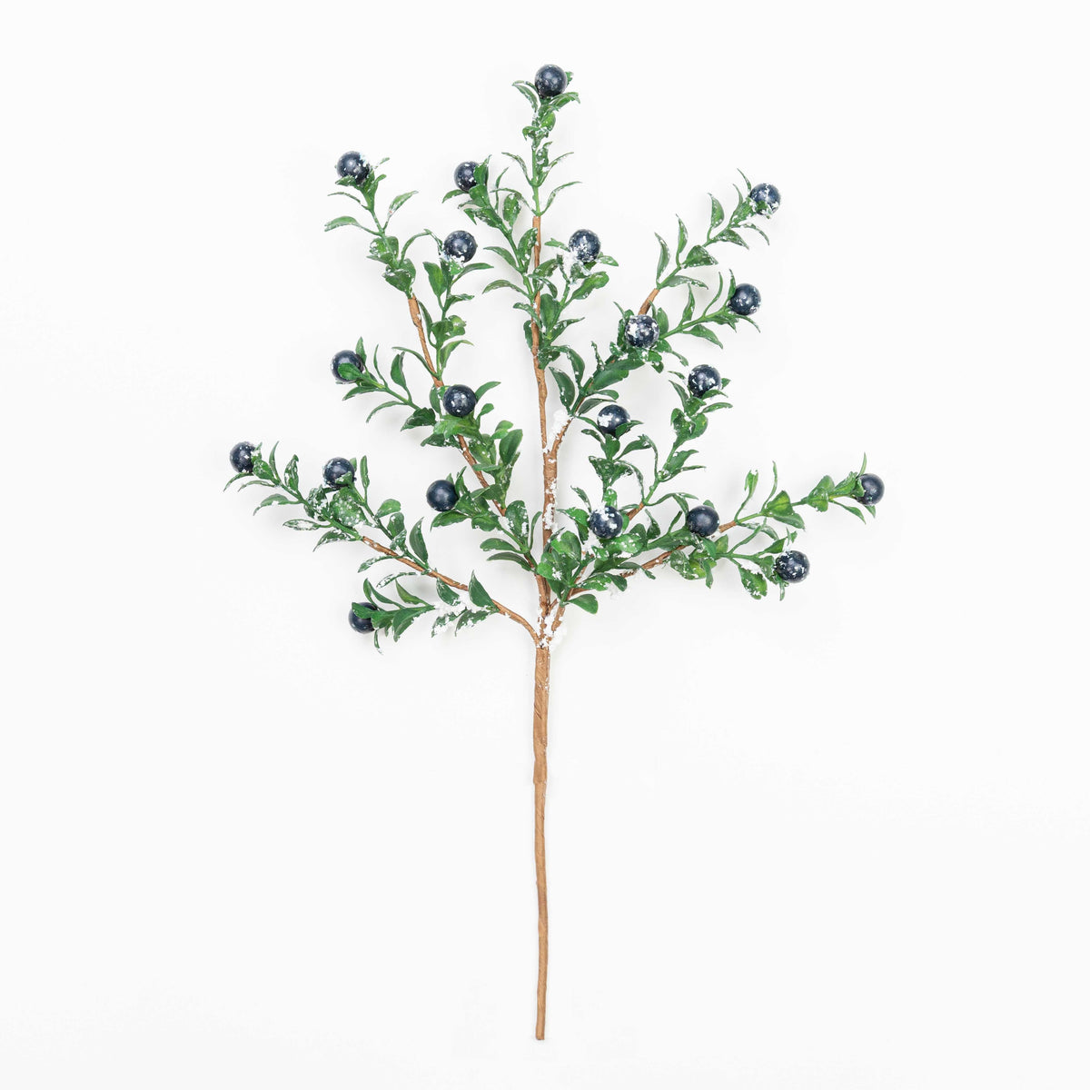 14" SMOW BERRY BOXWOOD PICK