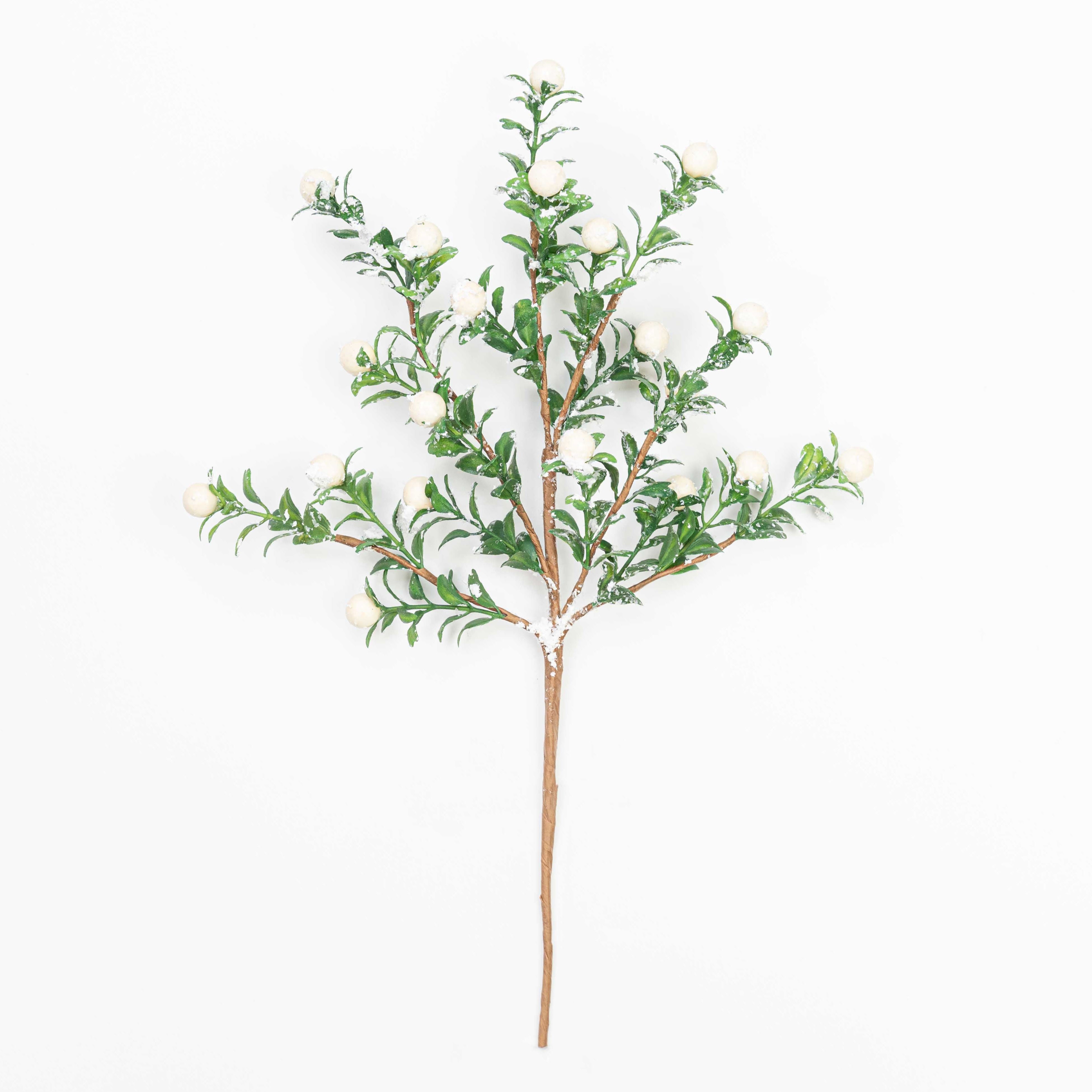14" SMOW BERRY BOXWOOD PICK